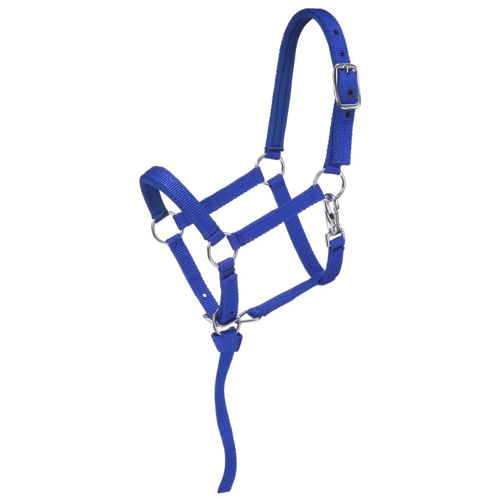 Tough 1 Nylon padded Miniature Halter, Blue/Royal, Small