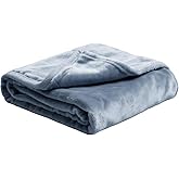 Plush Velvet Fleece Bed Blanket, Lightweight Queen Size Blanket, Soft Fuzzy Cozy Blanket for Couch (Haze Blue, Queen)
