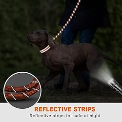 Taglory Rope Dog Leash 5 FT with Comfortable Padded