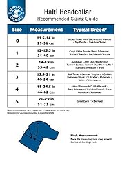 Halti Headcollar and Training Lead Combination