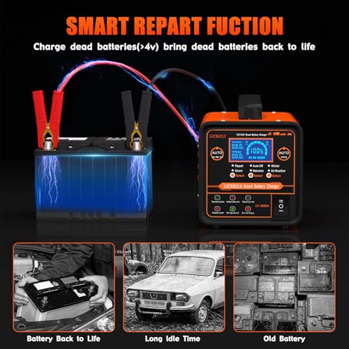 Caricabatterie Auto 12V/24V 20A Professionale, Caricatore e Mantenitore Automatico con Modalità Riparazione, Programma Invernale, Arresto Automatico,Ricarica Rapida per Auto,Camion,Moto,Camper