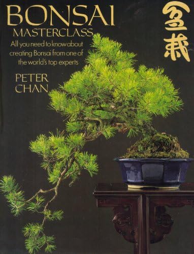 juniper bonsai for sale Bonsai Juniper Tree General Tree