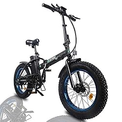 ECOTRIC Electric Foldable Bike 48V/13AH Li-ion