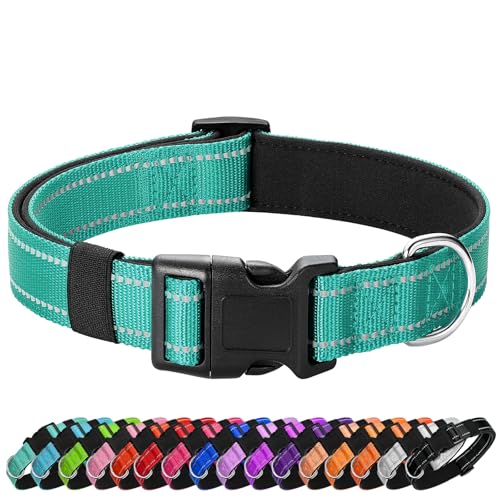 PenSeepet Reflective Dog Collar