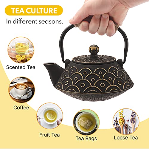 VUDECO Japanese Teapot Cast Iron Tea Kettle with Infuser Japanese Tea Set Tea Pots with Infusers