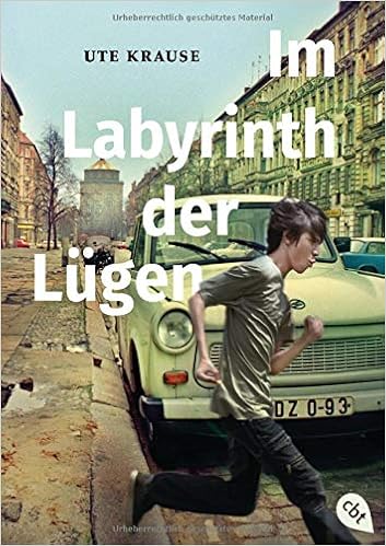 Im Labyrinth Der Lugen Amazon De Krause Ute Bucher