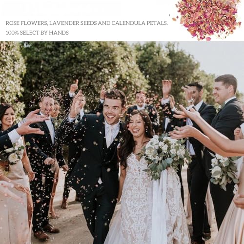 FINEVERNEK 14 Packs of Wedding Confetti Natural Petal Confetti Throwing Dried Rose Flowers Biodegradable Wedding Party Decoration Dried Rose Petal Confetti