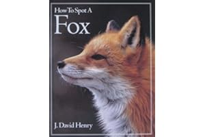 How to Spot a Fox