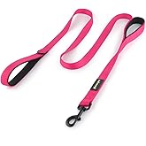 Plutus Pet Double Handle Dog Leash 6ft Long, Padded 2 Handle, Heavy Duty, Reflective Training Leash for Medium Large Dogs, Dual Handle Lead (Pink)
