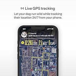 Fi Series 3 Smart Dog Collar - GPS Dog Tracker and