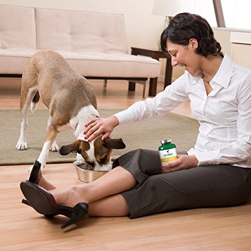 Vet's Best Advanced Hip & Joint Dog Supplements Formulated with