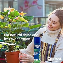 Chrysal Leaf Shine Spray for Indoor Plants