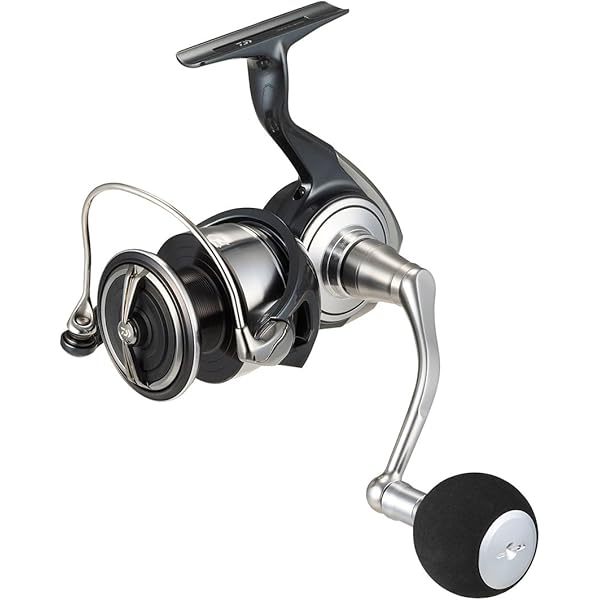 Amazon.com : DAIWA Large Spinning Reel, 24-Celtate, SW 6000-P 