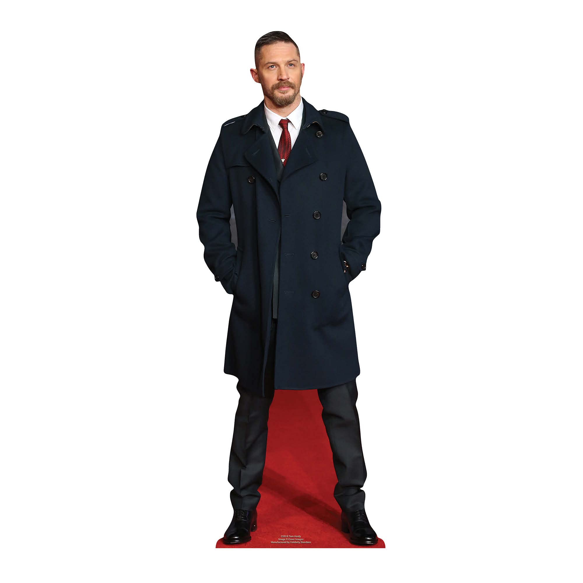 STAR CUTOUTS CS918 Tom Hardy (Star Mini Celebrity Cardboard Cutout), Solid, Multicolour, Regular