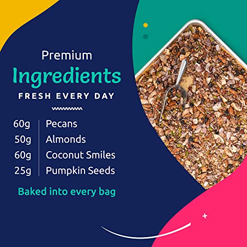 Keto Granola Variety Pack 23g Net Carb Snack Low Carb Nut Cereal