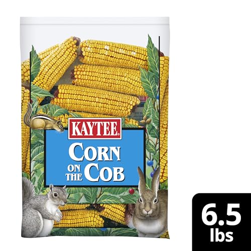 KAYTEE CORN ON THE COB, 6.5 LB