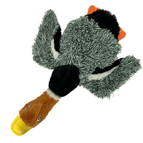 Best Pet Supplies Dog Chew Toys for Small and Medium Dogs, Tough