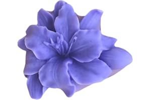 GRAINRAIN Flower Silicone Soap Molds Soap Molds for Soap Making Silicon Molds for Soaps DIY Craft Handmade Soap Candle Plaster Resin Mould (14014)