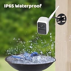 NETVUE Birdfy - Upgraded Samrt Bird Feeder Camera