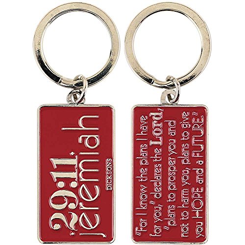 Jeremiah 29:11 Hope and a Future Red Silver Epoxy Christian Key Ring Keychain