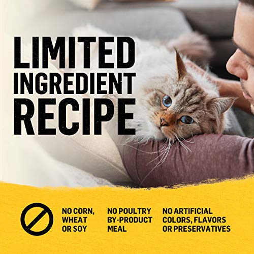 Purina Beyond Natural Limited Ingredient Dry Cat Food, Simply White