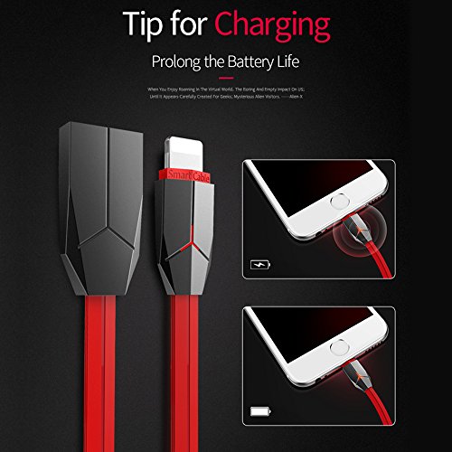 Lightning Kabel, iPhone Kabel, ASMOTIM 1.2 M Zink legiertem Lightning auf USB Ladekabel Ladegerät mit LED für iPhone X /8/ 8P/ 7/7P, iPhone6S/6 ,iPhone 5/5S/5 C/SE, iPad Mini 2 3 4 Air iPod ios10 und mehr（Rot）