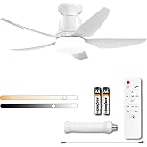 Tandanic E26 Socket Ceiling Fan with Light, Remote, 30 Inch, 4 speeds, | Timer 2H/4H, dimmable 3CCT LED 3000LM, 30dB quiet DC motor, 80% energy saving, removable blades, E26 easy install,Bedroom