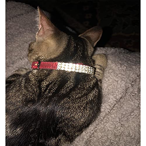 CHUKCHI Soft Velvet Safe Cat Adjustable Collar Bling Diamante with
