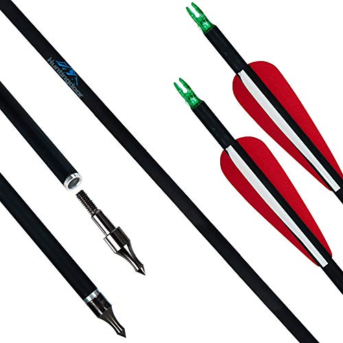 Huntingdoor 30" Archery Carbon Target Arrows Hunting Arrows with Adjustable Nock and Replaceable