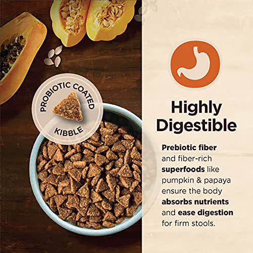 Wellness CORE Digestive Health Dry Dog Food with Wholesome Grains