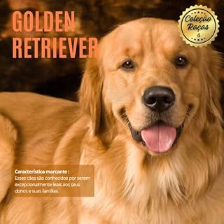 Livro Coleção Raças: Vol 04 - Golden Retriever (Coleção Raças - Cães)