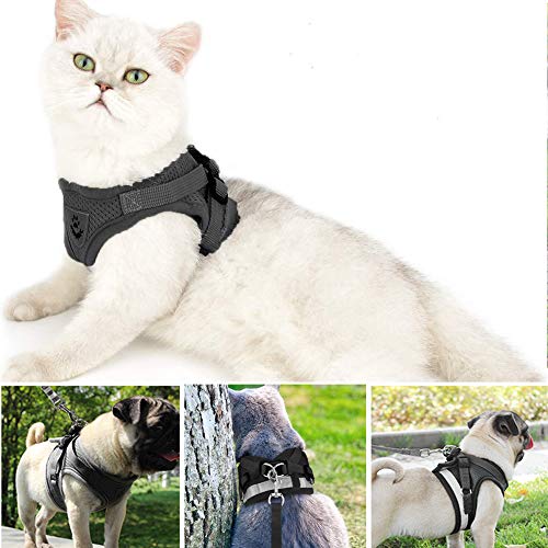 Cat Harness Escape Proof,Cat Harness and Lead Set,Cat Harness,Harness