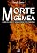 Livro Morte Gêmea