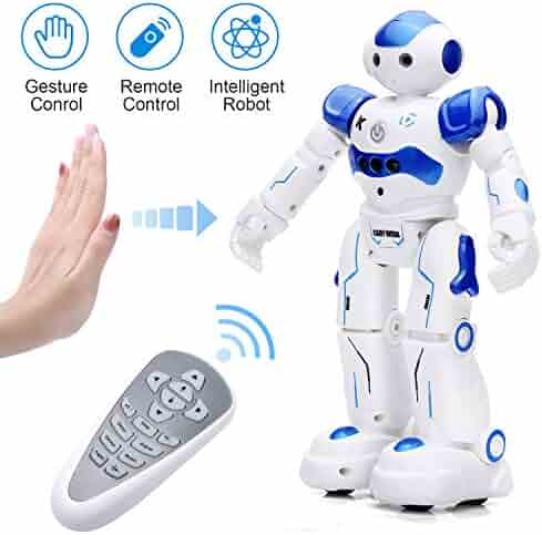 interactive robots for adults
