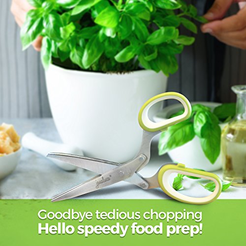 Jenaluca Herb Scissors with 5 Blades and Cover Cool Kitchen Gadgets