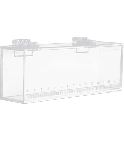Amazon.com : MagiDeal Fishing Fish Viewing Box Acrylic with Lid Mini  Aquarium Outdoor Indoor Small Portable Safe Fish Breeder Hatching Boxes  with Scale : Pet Supplies