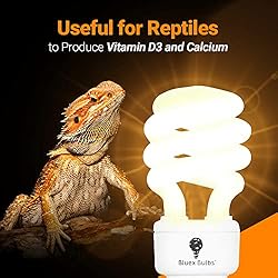 2 Pack 13-Watt Reptile Bulb Desert UVA UVB Light