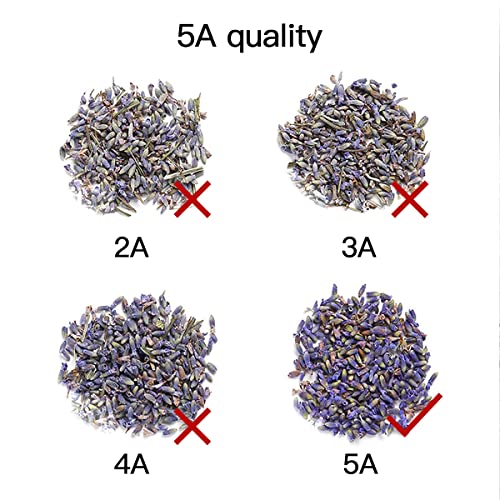 Dried Lavender Sachets Bags for Lavender Sachets for Drawers and Closets Fresheners,Lavender Flowers Bags,Lasting Lavender Fresh Scents for Anywhere,8.31 Ounce/10 Pack