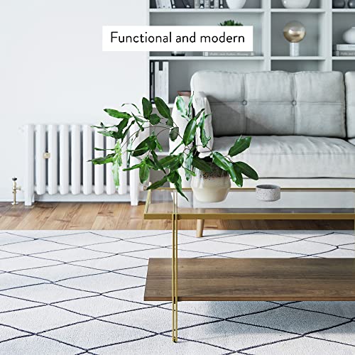 Nathan James Asher MidCentury Rectangle Coffee Table Glass Top and