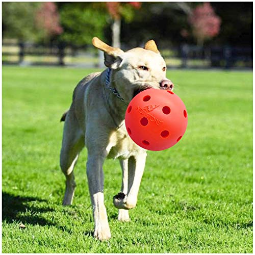 large dog ball