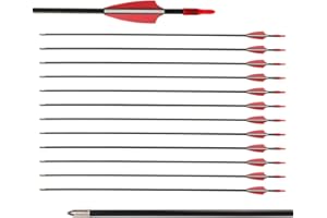 LWANO 28" Fiberglass Arrows - Archery Practice Target Arrows with Blunt Tips Durable Shaft for Youth Kids Children Beginners on Recurve&Long Bows(Pack of 12)