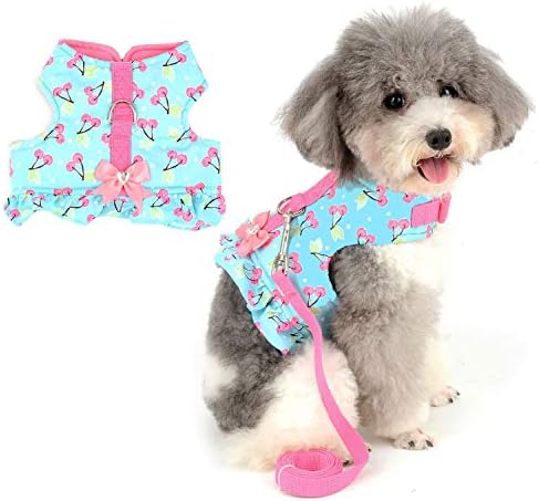 Dog Collar Escape Proof Harness For Chihuahua Dog Dress Zunea