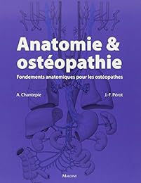 Anatomie & ostéopathie