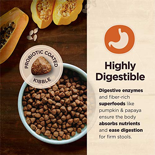 Wellness CORE Digestive Health Dry Dog Food with Wholesome Grains
