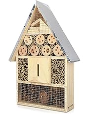 Cajas de insectos | Amazon.es