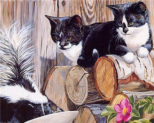WOWDECOR Paint by Numbers Kits for Adults Kids, DIY Oil Painting - Lovely Black Cat Squirrel Animals 16x20 inch (Framed)