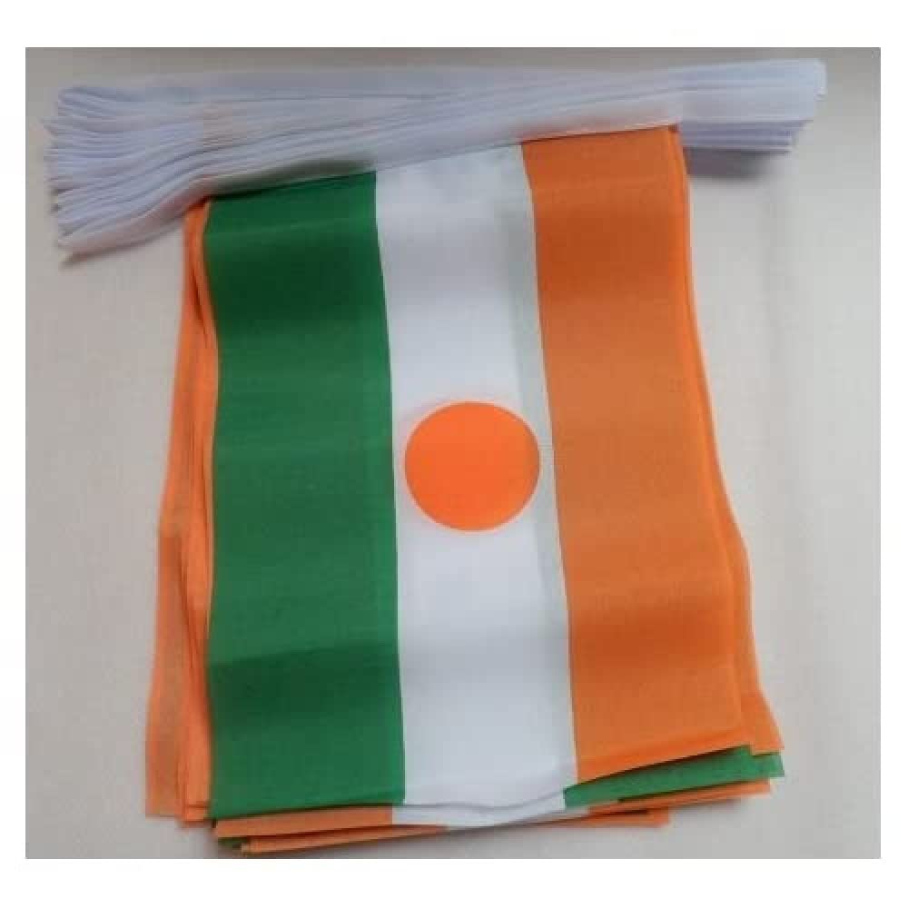 AZ FLAG Niger Bunting Flag, 20 Ft Garland with 20 Small Nigerian Flags 8'' x 6'', 100% Polyester String Pennant, 6 meters — image 1