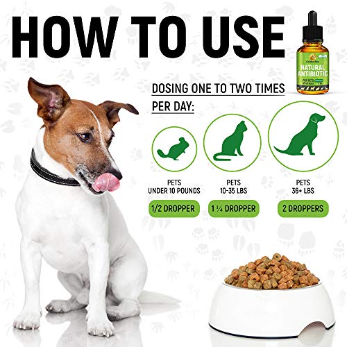 GoldenPaw Natural Antibiotíс for Dogs New Garlic Free Formula Kennel Cough Medicine for Dogs