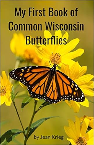 Different Types Of Moths In Wisconsin
