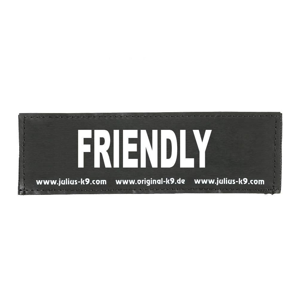 Interchangeable Patches, 1 Pair, FRIENDLY, Size: Large, Black